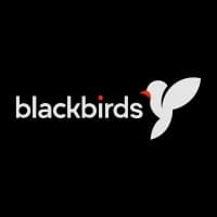 Blackbirds logo - AI agency in Rotterdam